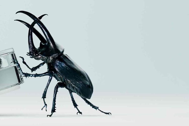 Nothing Luncurkan Teaser ear (2)